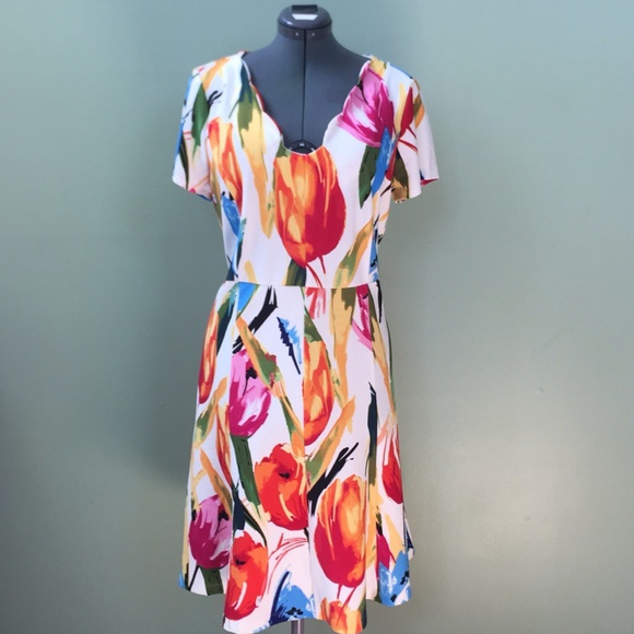 Phase 7 Dresses & Skirts - Phase Seven Women's Floral Dress Sz 18